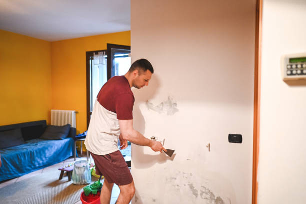 Home Mold Removal in St Hedwig, TX